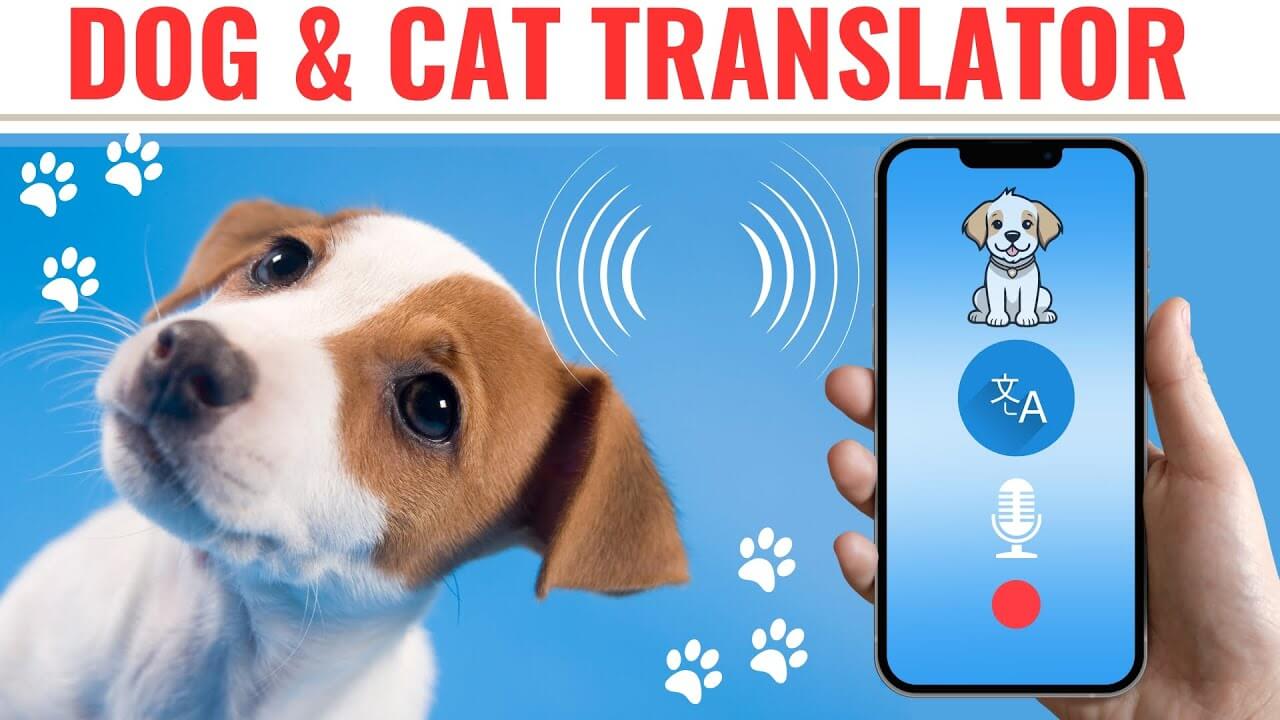 Dog Translator App | Cat Translator App | Do dog translator apps work?